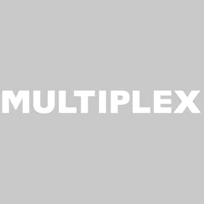 Brand identity for Multiplex