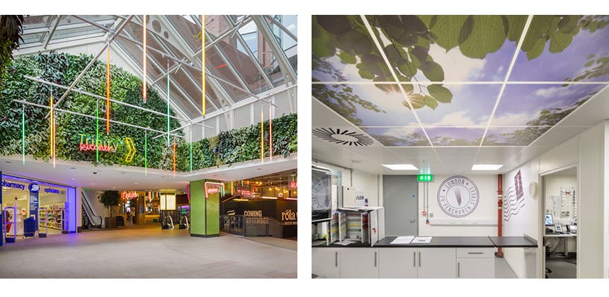 Examples of biophilic principles applied to environmental graphics